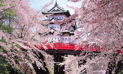 20 bức ảnh đưa bạn du lịch vòng quanh thế giới (P.2)