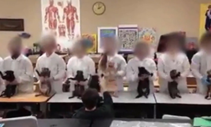 Sốc: Màn khiêu vũ tập thể với xác mèo