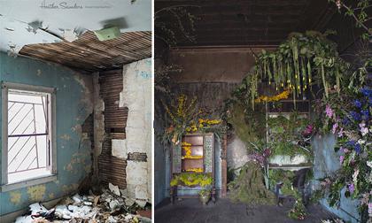 Cải tạo nhà bỏ hoang thành thiên đường của các loài hoa