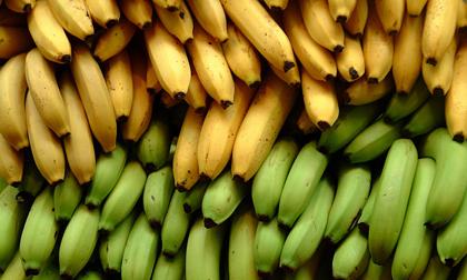 8 thực phẩm gây hại cho tiêu hóa mà bạn không biết