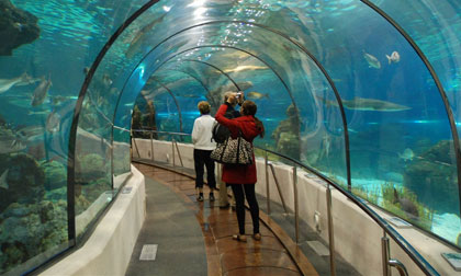 Những điểm du lịch cho bé trong mùa hè