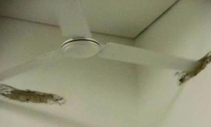 'Không tin nổi' với những đồ dùng vô dụng nhất quả đất