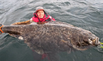 Câu được cá bơn 'khủng' dài hơn 2m nặng hơn 100kg