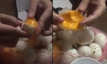 Trứng gà giả bằng cao su gây hoang mang