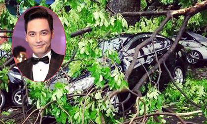 Xe của MC Phan Anh bị cây đổ vào trong trận bão chiều qua