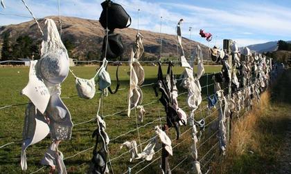 Chiêm ngưỡng dãy hàng rào chứa hàng nghìn áo ngực phụ nữ