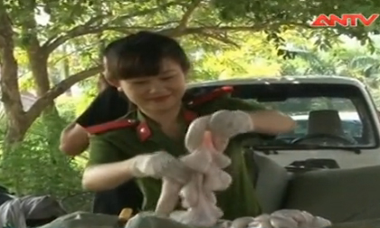 Rùng mình gần 300 kg nội tạng thối 'ngậm' hóa chất