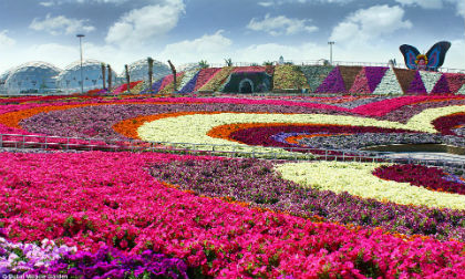 Chiêm ngưỡng vườn hoa lớn nhất thế giới