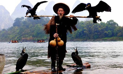 Cách bắt cá bằng chim cốc có 1-0-2