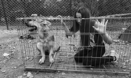 Bộ ảnh giới trẻ 'hóa thân' để phản đối lễ hội ăn thịt chó ở Trung Quốc