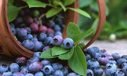 Những thực phẩm cần thiết giúp bạn có vòng 2 'siêu' hấp dẫn