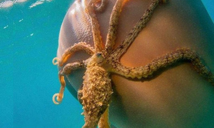 Những bức ảnh mang đậm phong cách 'không thể tin nổi'