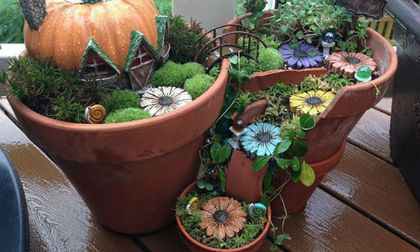 Tạo khu vườn tí hon đẹp đến ngỡ ngàng từ chậu hoa vỡ