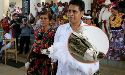 Thị trưởng Mexico cưới cá sấu làm 'vợ'