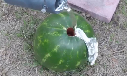 Chuyện gì xảy ra khi đổ nhôm nóng chảy vào dưa hấu?