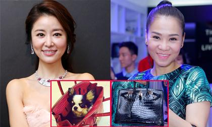 Lâm Tâm Như bị dè bỉu vì dùng túi tiền tỷ giống Thu Minh đựng thú cưng