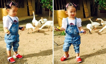 Con gái Xuân Lan được mẹ đưa về quê 'chăn ngỗng'