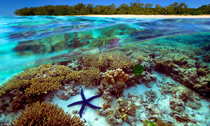 Chiêm ngưỡng 10 hòn đảo du lịch tốt nhất thế giới