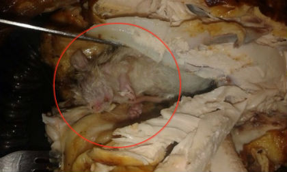 Phát hiện chuột chết trong bụng gà nướng mua ở siêu thị
