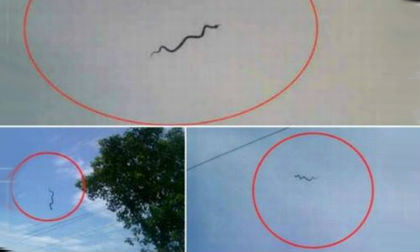 Hiện tượng rắn bay trên trời kỳ lạ