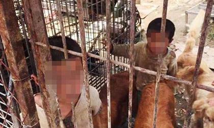 Hai đứa trẻ phải sống chung với chó, uống nước thải dưới đất để sống