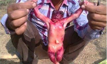 Phát hiện sinh vật có hình dạng như người ngoài hành tinh