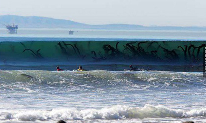 15 bức ảnh nhìn 'toát mồ hôi' 