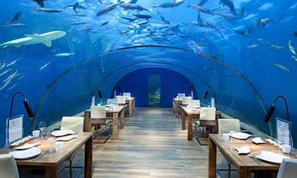 Chiêm ngưỡng những khách sạn dưới nước độc đáo nhất thế giới