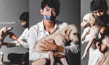 Bộ ảnh chàng trai hoán đổi với chó khiến cộng đồng suy ngẫm