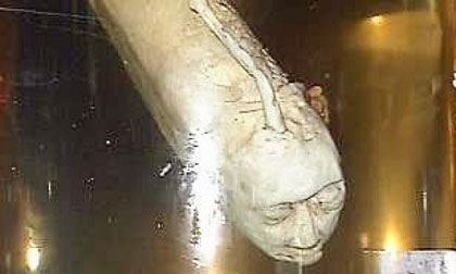 Loài cá có mặt giống người kỳ lạ