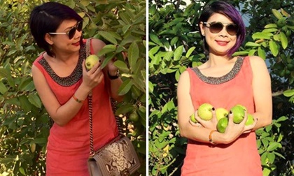 Thanh Thảo thích thú sang nhà Thu Phương ở Mỹ 'trộm' ổi