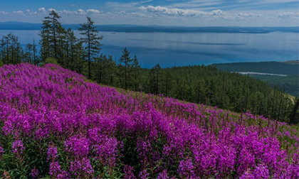 Bộ ảnh đẹp mê mẩn về đất nước Mông Cổ