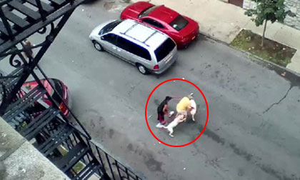 Sợ hãi cảnh chó tấn công người giữa phố