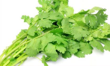 Tác dụng của rau mùi bạn có thể chưa biết