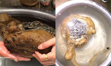 Quái vật có hình dáng kỳ lạ được phát hiện dưới sông