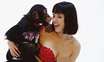 Chị em 'hoang mang' vì bị động vật 'sàm sỡ'