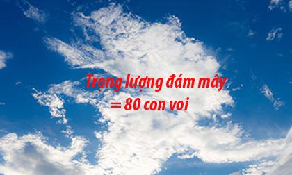 11 điều không tưởng nhưng lại là sự thật khiến ai cũng muốn biết