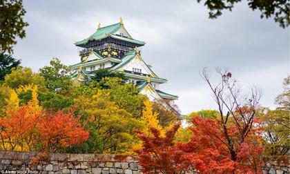 Lạc bước đến những nơi có mùa thu đẹp nhất thế giới