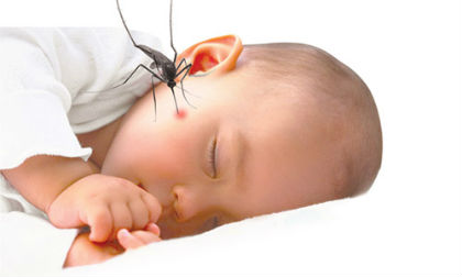 Mẹo trị muỗi đốt cho trẻ cực hay