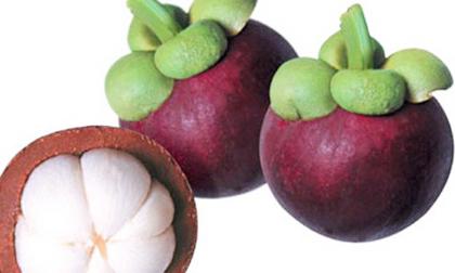 Khám phá những lợi ích tuyệt vời từ măng cụt