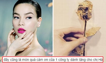 Hà Hồ được fans minh oan về việc 'khoe' hoa hồng vàng giá 'khủng'
