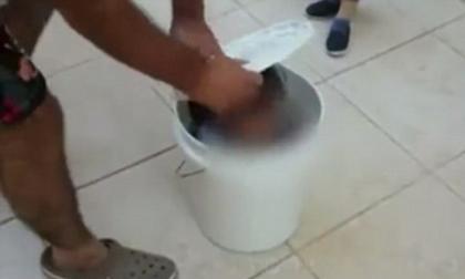 Phẫn nộ người cha nhét con vào xô nhựa, dọa mang đến hàng thịt