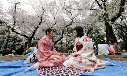 4 điều luật gây 'sốc' cho khách du lịch Nhật Bản