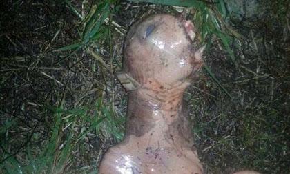 Phát hiện sinh vật lạ như người ngoài hành tinh