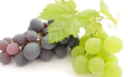 Quả nho và công dụng đối với sức khỏe