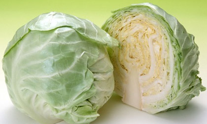 Rau bắp cải - Thần dược cho sức khỏe 