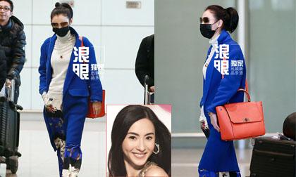 Gu thời trang độc lạ của Trương Bá Chi tại sân bay