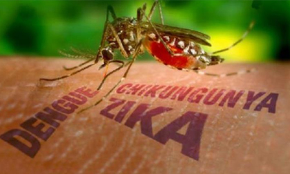 Virus gây teo não nguy hiểm như thế nào?