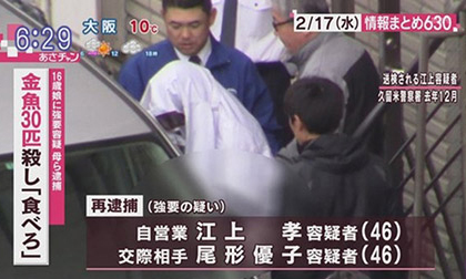 Phẫn nộ bà mẹ Nhật đầu độc 30 con cá vàng rồi bắt con gái ăn cá chết