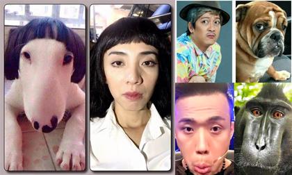 Hài hước loạt ảnh so sánh sao Việt với động vật